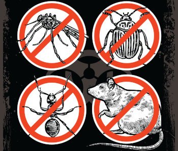 Aprag alerta para a necessidade de reforçar o combate de insetos e roedores nas cidades